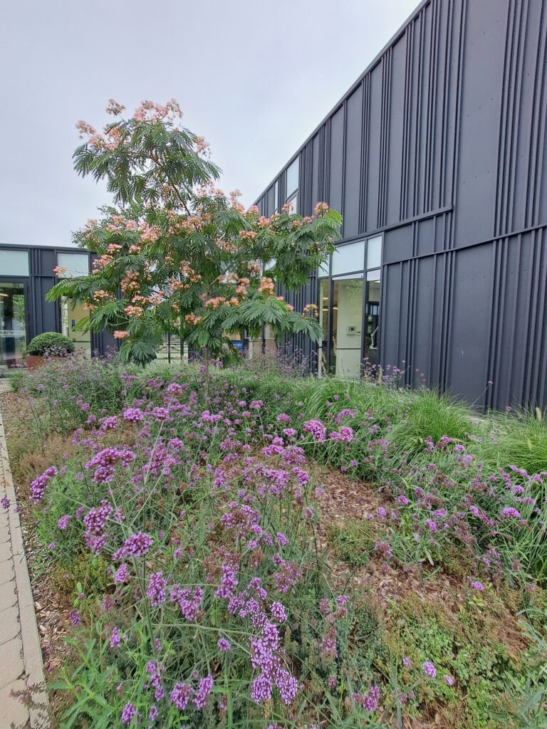 Tuinonderhoud9_1440x1920